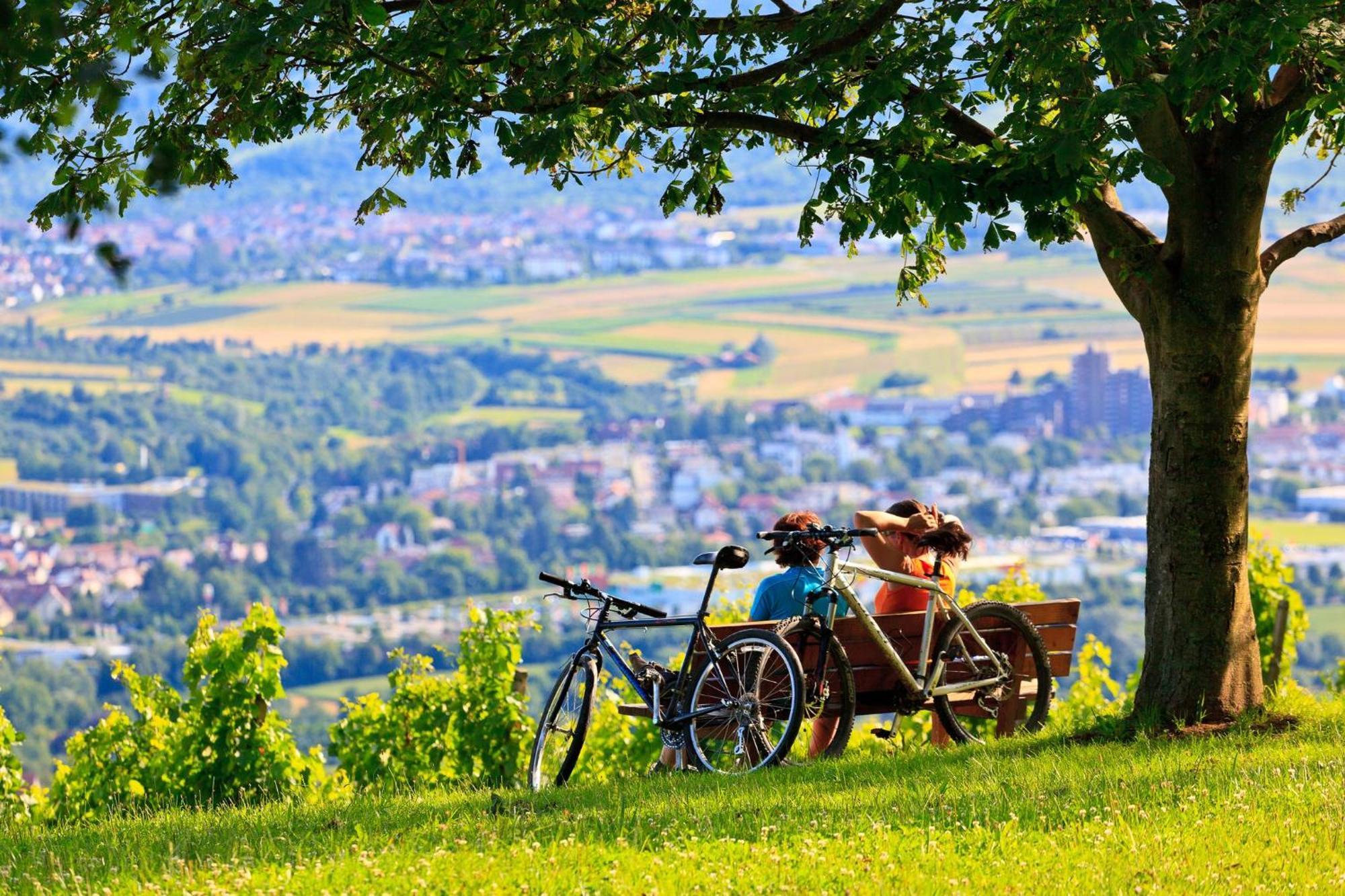 Holiday Inn Express Stuttgart-Waiblingen By Ihg Eksteriør billede